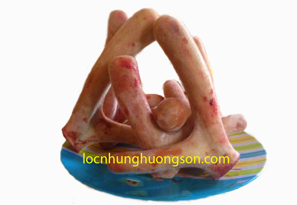 Công dụng của Nhung hươu